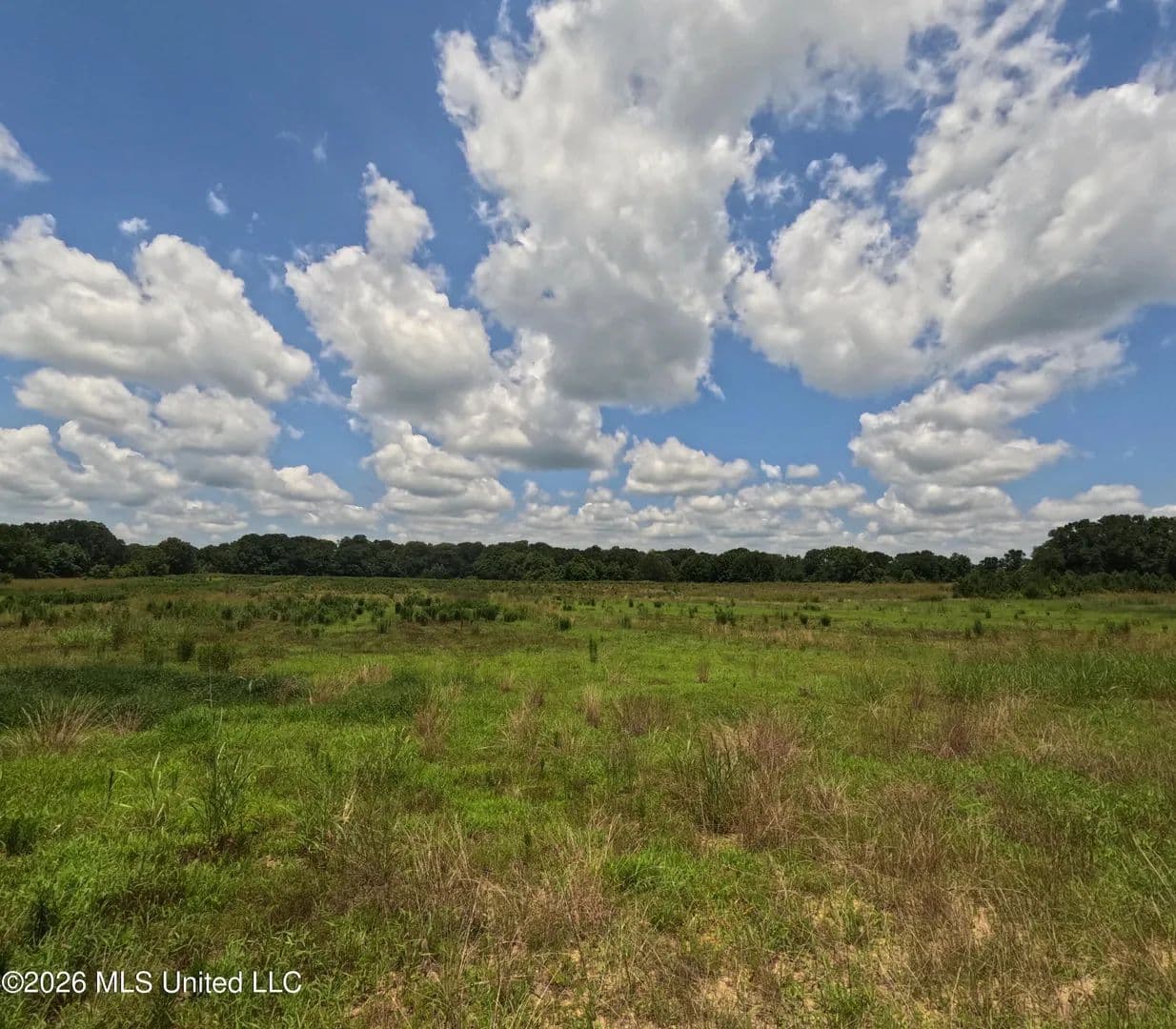 Property from Old Port Gibson Road - KW - Utica, Mississippi, 39175