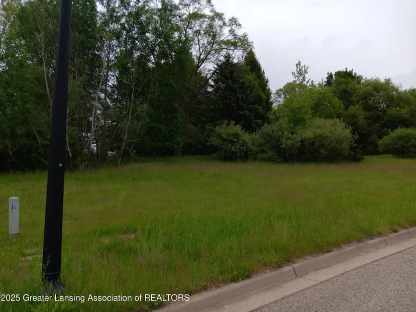 Lots & Land-Other in Lansing
