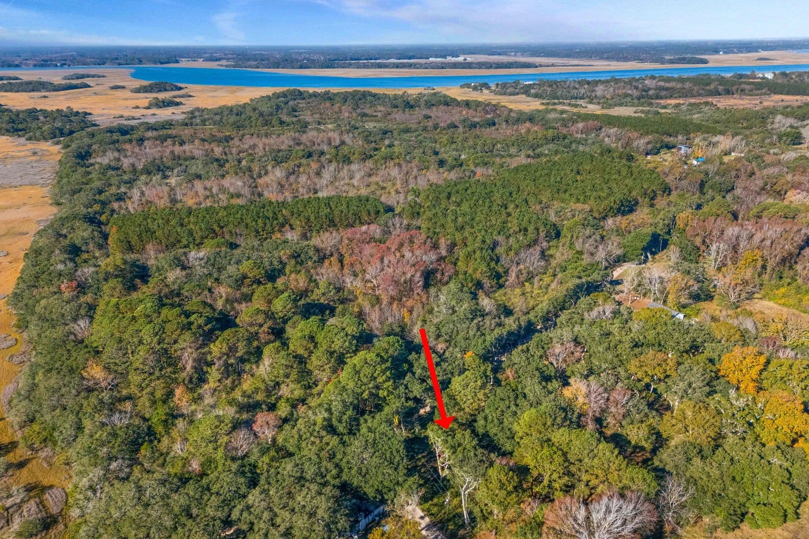 Lots & Land-Other in Charleston - Charleston, South Carolina, 29412