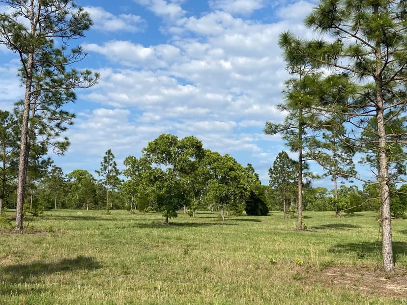 Property from 16.12 Acre Bethcar Church Road - KW