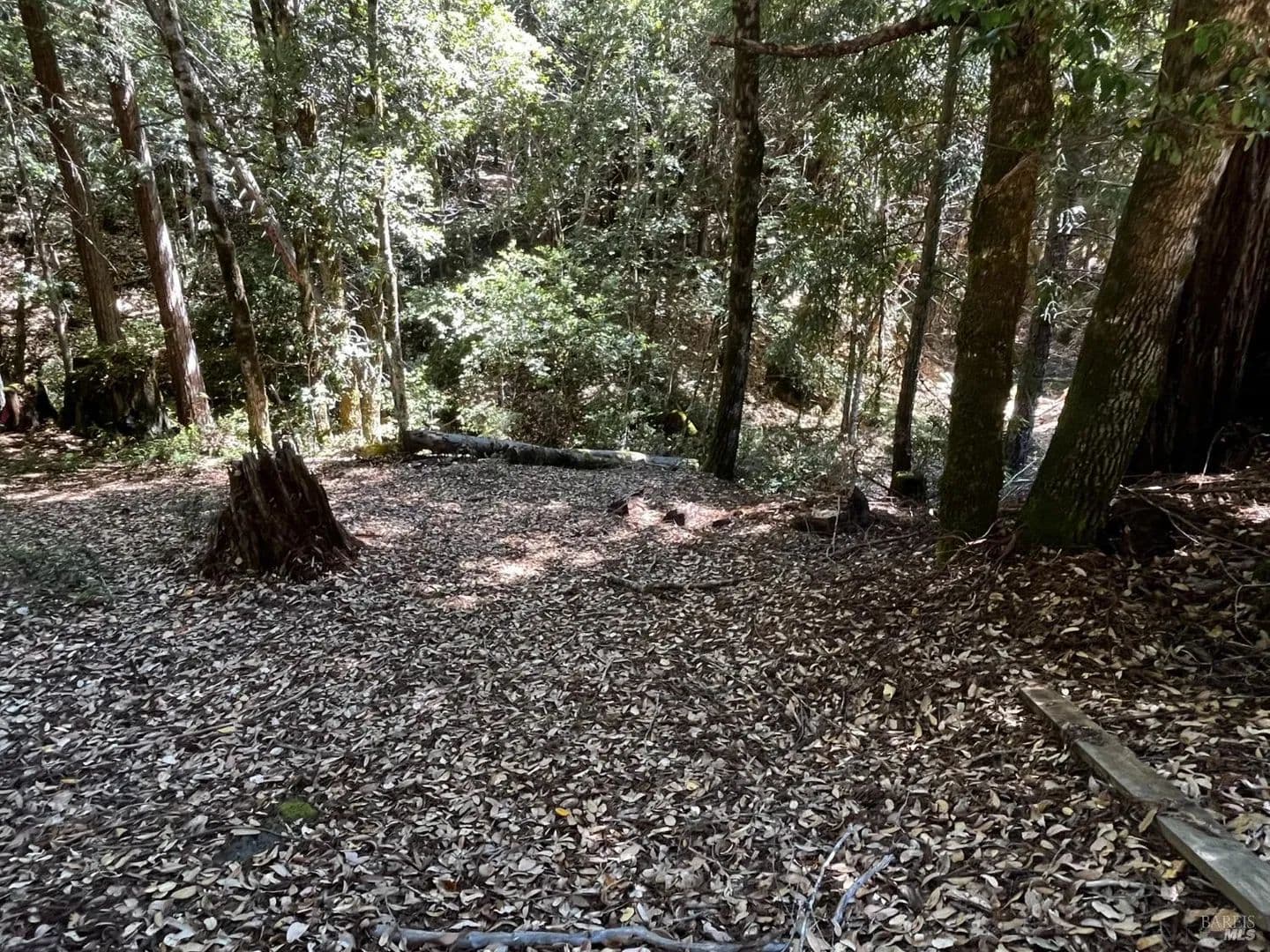 Lots & Land-Other in Willits - Willits, California, 95490