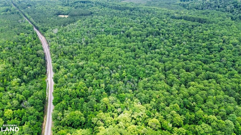 Grove Hill Whatley Bassett Creek Hunting & Timber Investment Tract