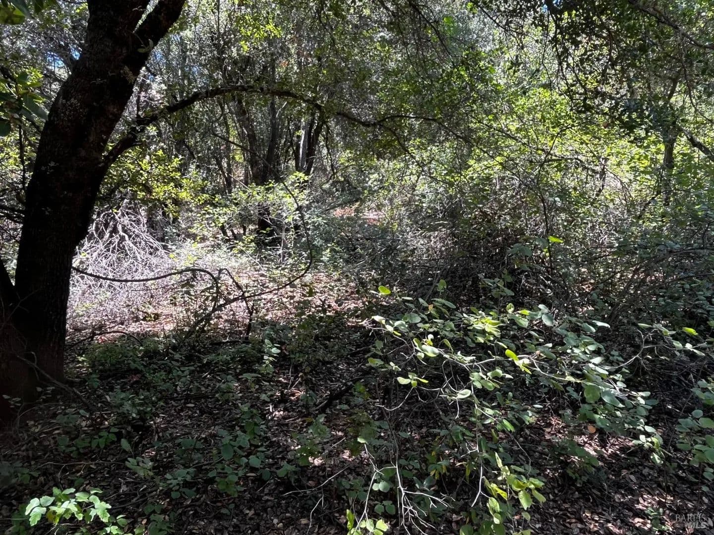 Lots & Land-Other in Clearlake - Clearlake, California, 95422