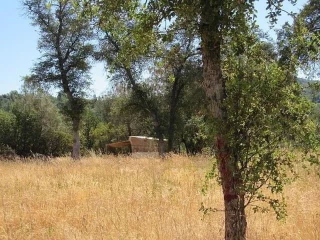 Lots & Land-Other in Columbia - Columbia, California, 95310