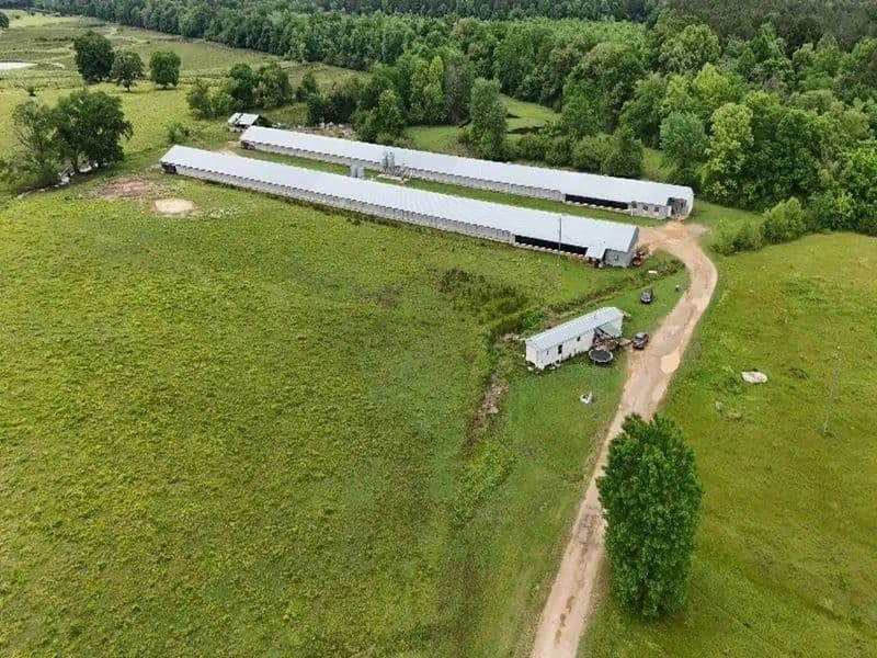 Anchor Farm – Breeder Egg Farm in Scott County, MS - Walnut Grove, Mississippi, 39074