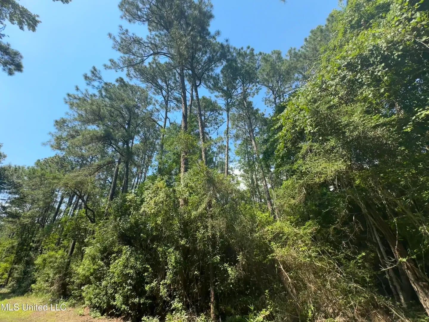 Vacant Land in Ocean Springs - Ocean Springs, Mississippi, 39564