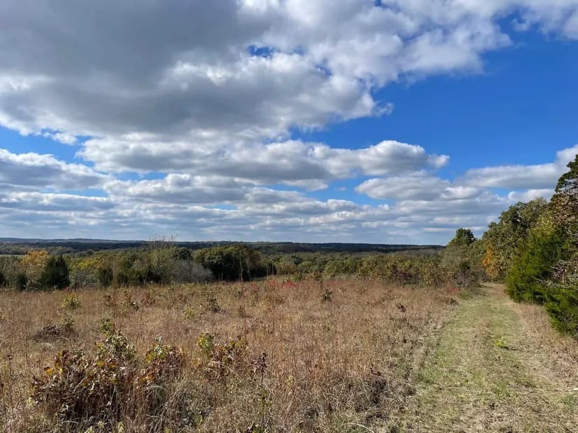 108 Ares of Hunting/Recreational Land