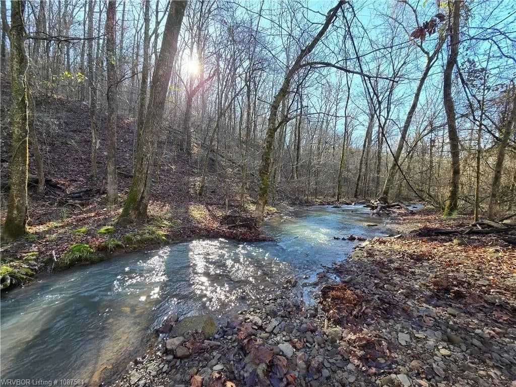 99.91 Acres of Land for Sale in Chester, AR - Chester, Arkansas, 72934
