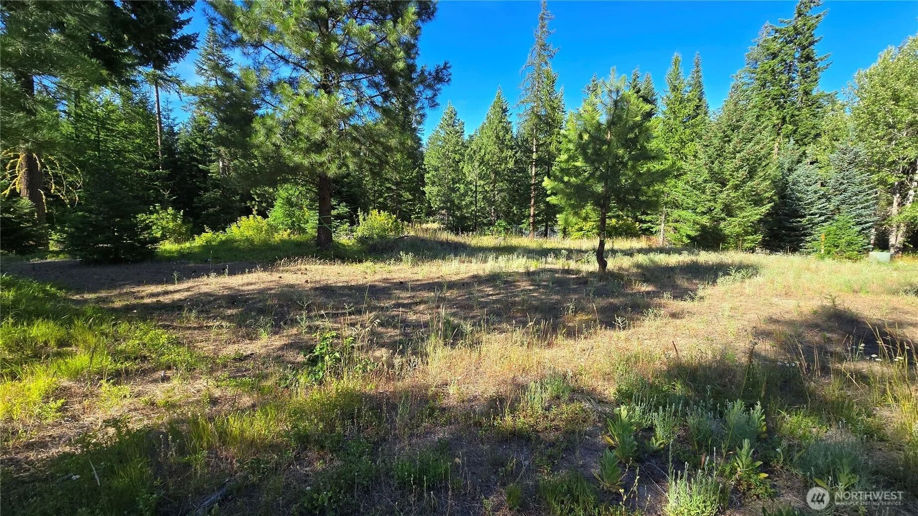 Vacant Land in Cle Elum - Cle Elum, Washington, 98922