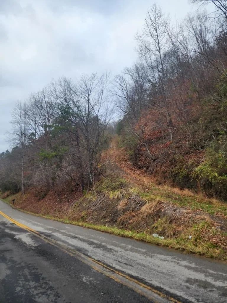 Lots & Land-Other in Prestonsburg