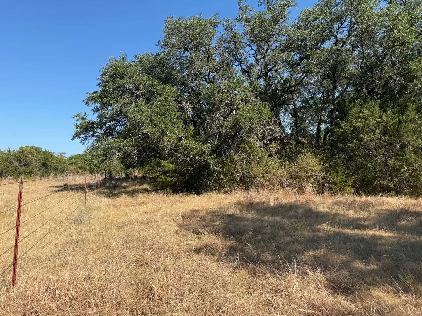 10 Acres of Land for Sale in Iredell, TX - Iredell, Texas, 76649