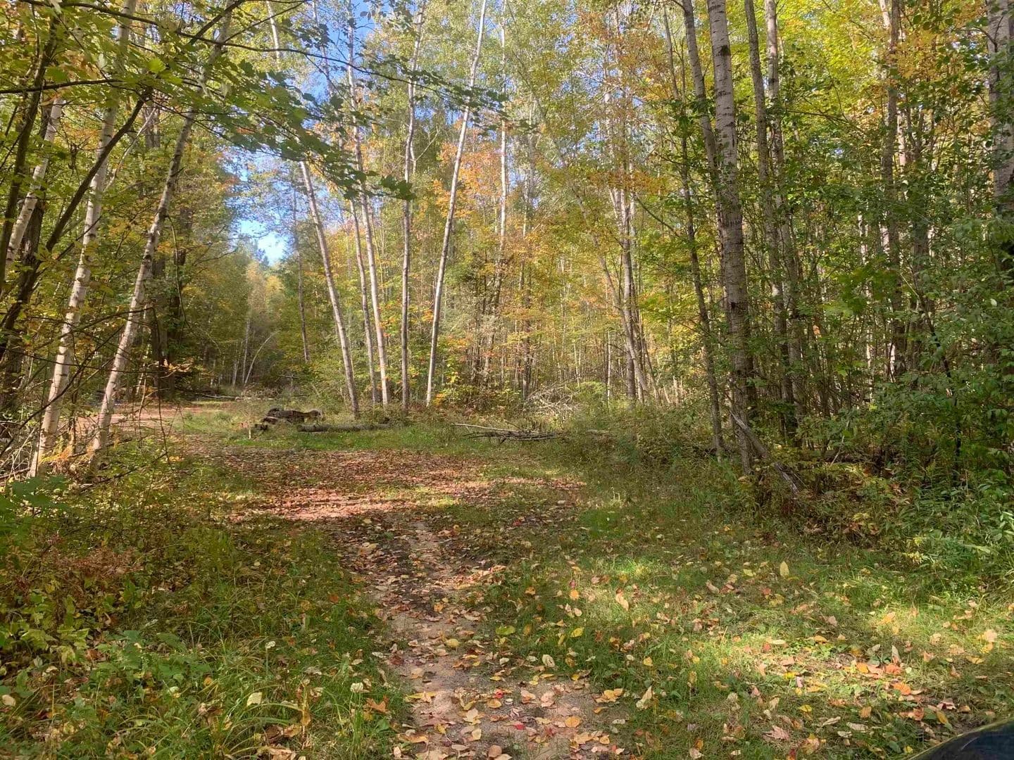 Lots & Land-Other in Saint Helen - Saint Helen, Michigan, 48656