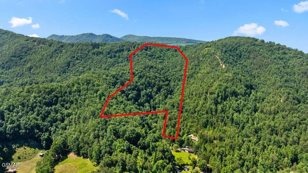 30.07 Acres of Land for Sale in Cosby, Tennessee - Cosby, Tennessee, 37722