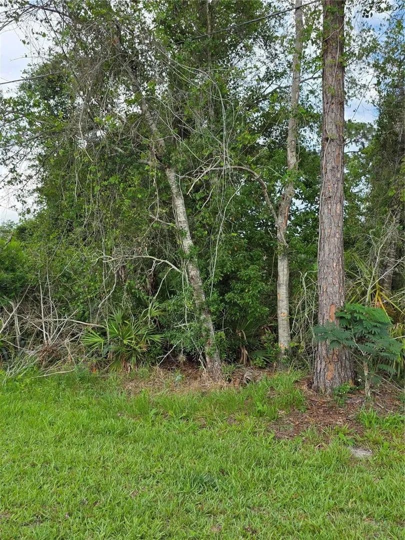 0.25 Acres of Land for Sale in Deltona, Florida - Deltona, Florida, 32738