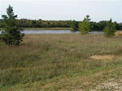 Vacant Land (0-10 Acres) in Canadian Lakes