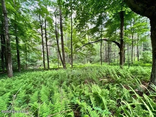 Land -Single Family Acreage in Gloversville - Gloversville, New York, 12078
