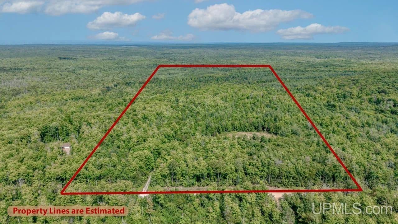 Vacant Land in Skandia - Skandia, Michigan, 49885
