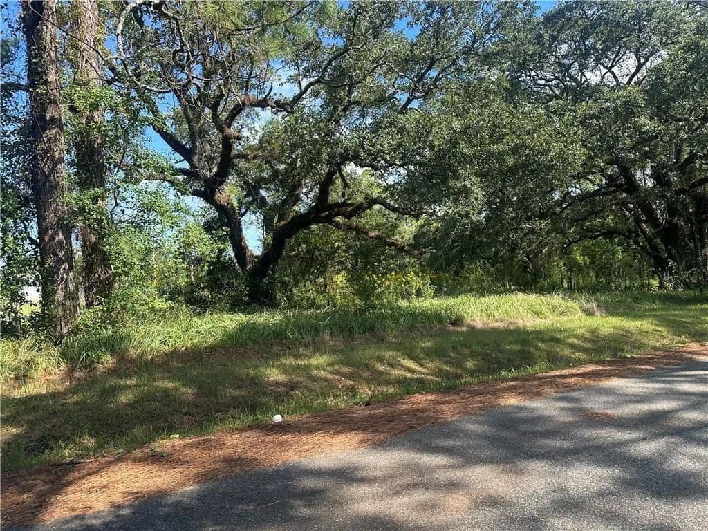 Lots & Land-Other in Bayou La Batre - Bayou La Batre, Alabama, 36509