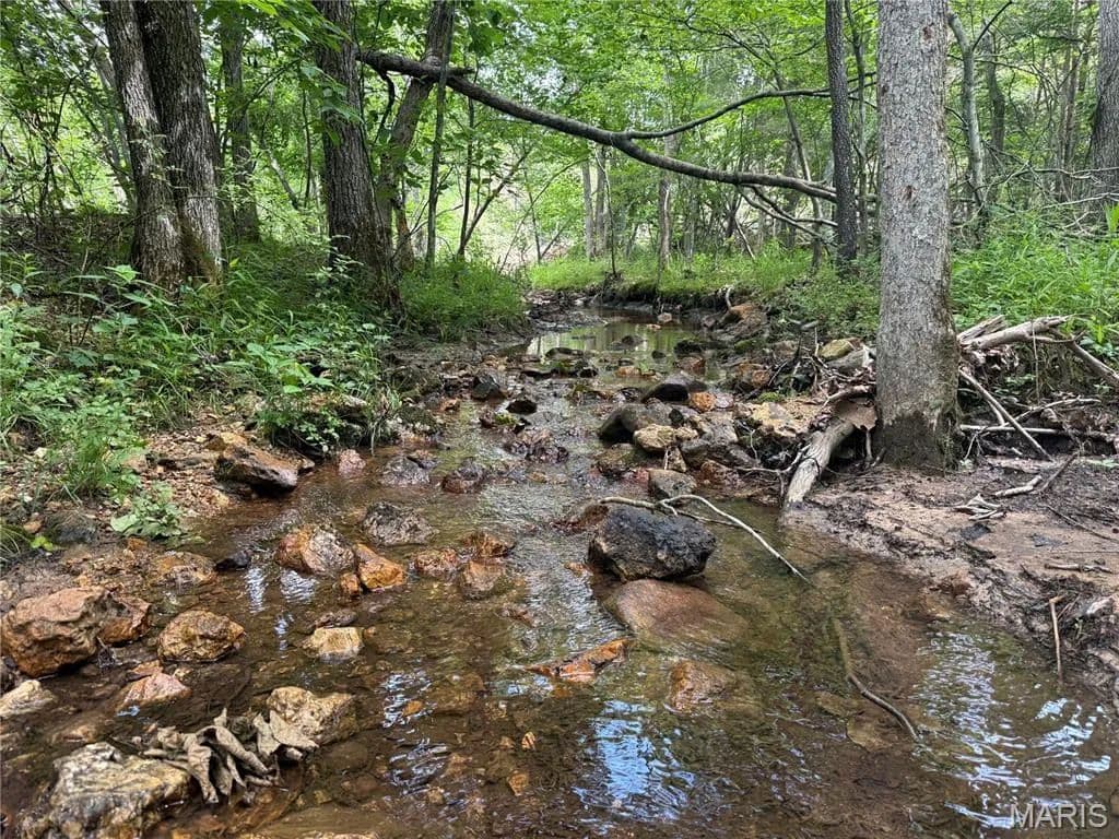 Property from Tract 3 Hidden Valley - KW - Annapolis, Missouri, 63628