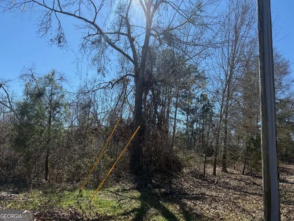 Property from 0 Wragler Trail (lot) - KW - Hazlehurst, Georgia, 31539