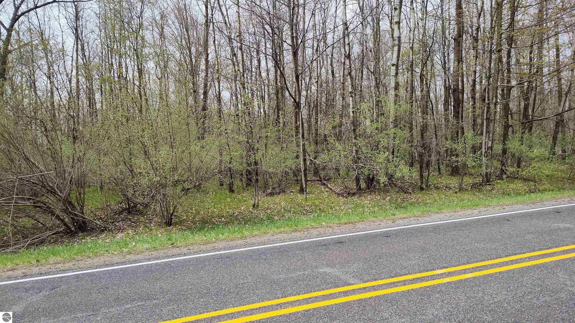 Vacant Land in Lake Isabella - Lake Isabella, Michigan, 48893