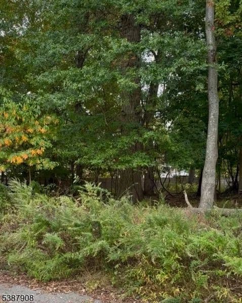 Vacant Land in Pequannock Twp.