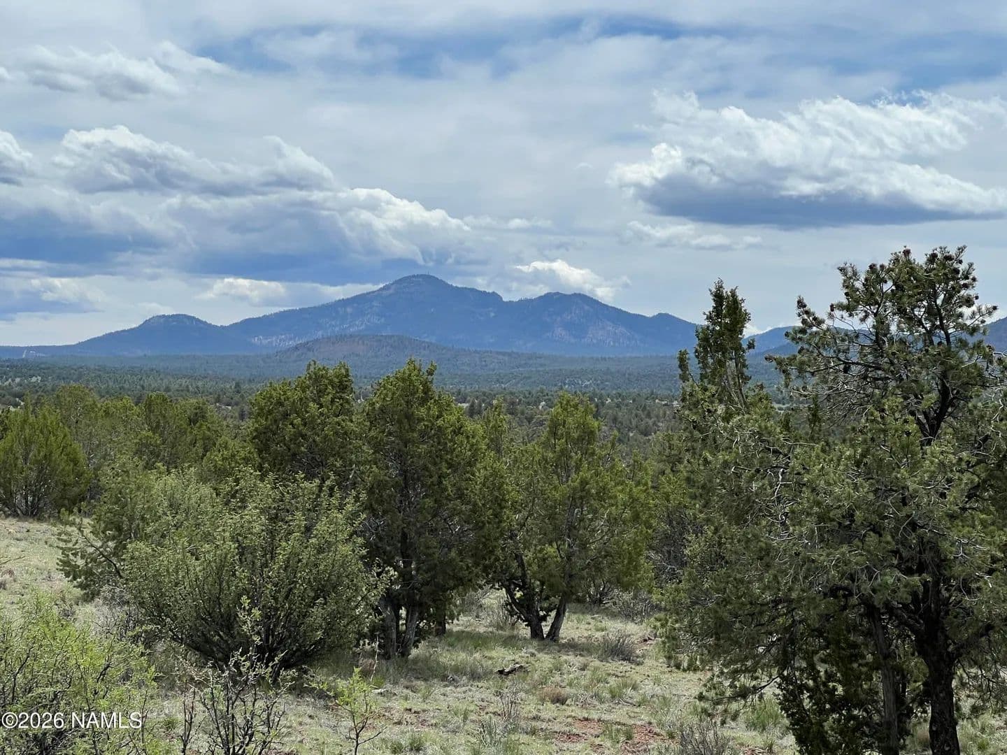 Lots & Land-Other in Williams - Williams, Arizona, 86046