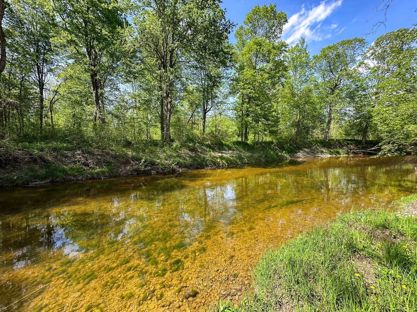 Property from 88 V/L N Bush - KW - Coleman, Michigan, 48618