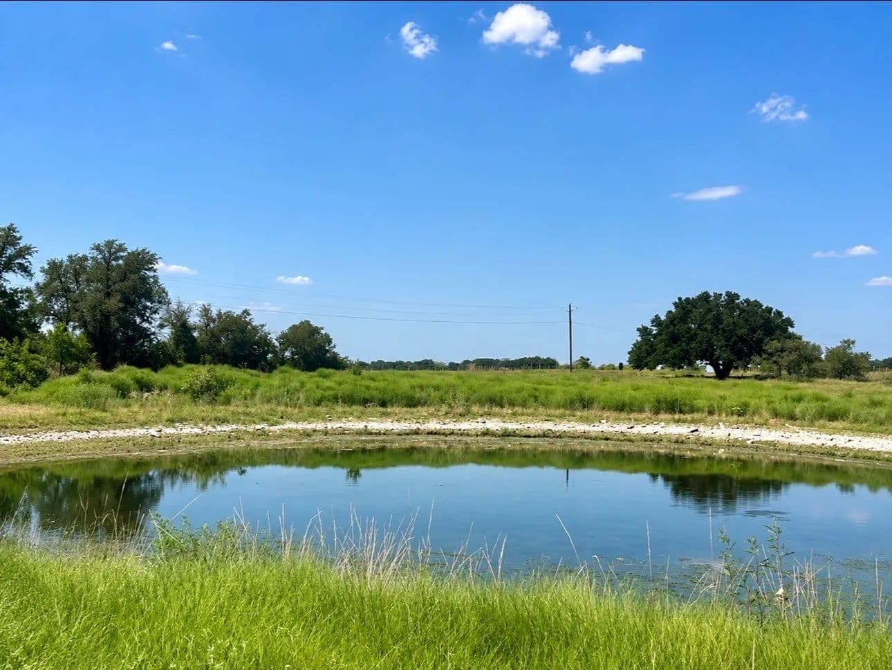 20.02 Acres of Land for Sale in Priddy, TX - land for sale