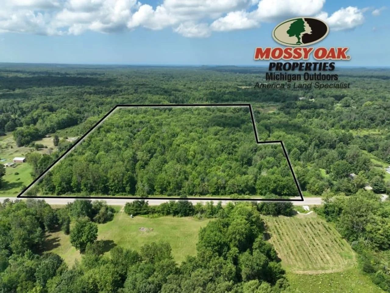 23.8 +/- Wooded Acres on M-140 - Covert, Michigan, 49043