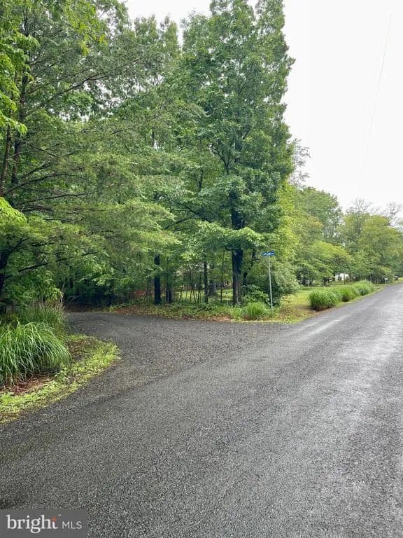 Vacant Land in Amissville - Amissville, Virginia, 20106