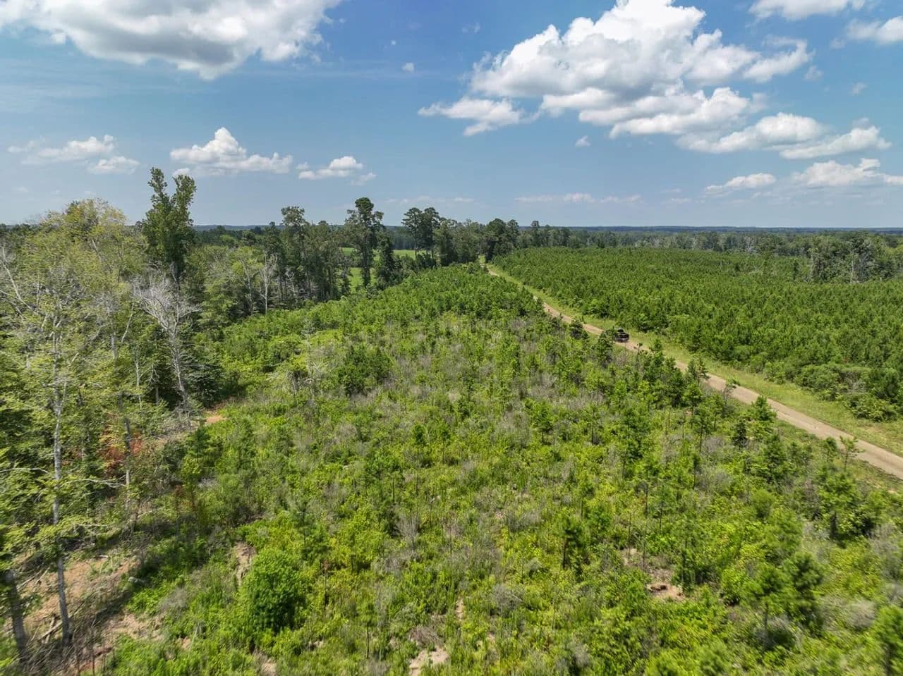 13 Acres | T-2 | Firetower Road | 1029 - Hemphill, Texas, 75948