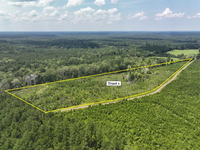 13 Acres | T-3 | Firetower Road | 1029