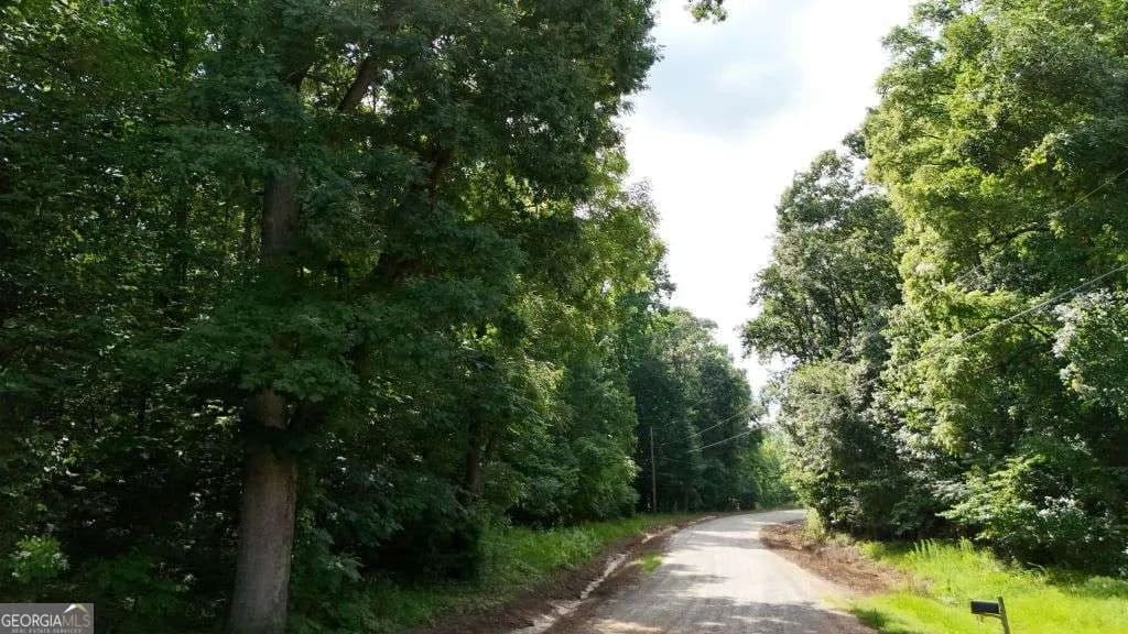 Vacant Land in Danielsville - land for sale