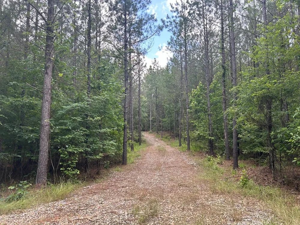 Fantastic Homesite - Talbotton, Georgia, 31827