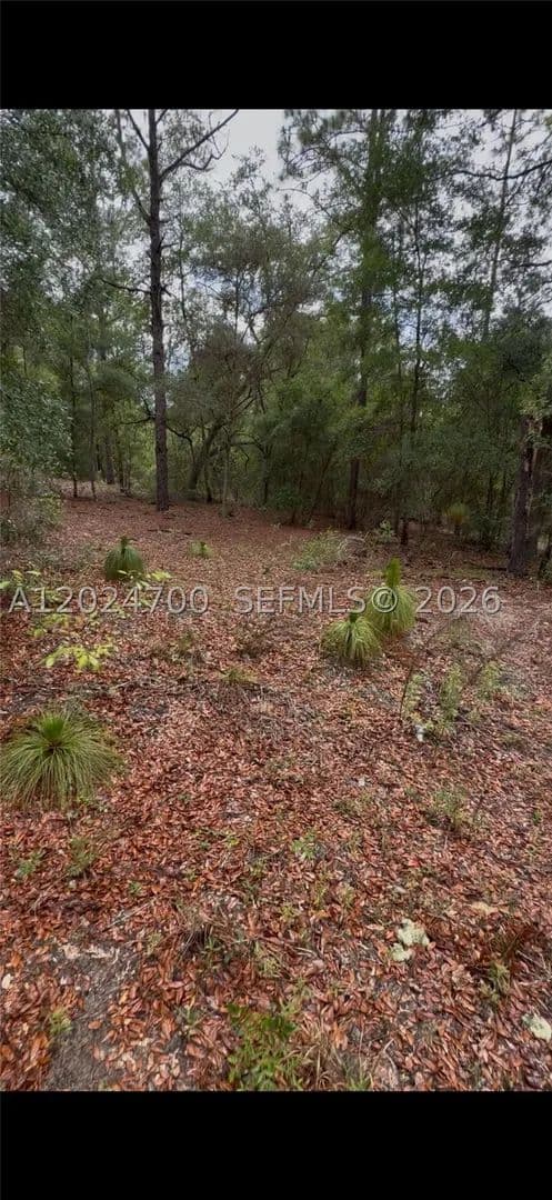 Property from 1373 SW 153rd Ave - KW - Ocala, Florida, 34481