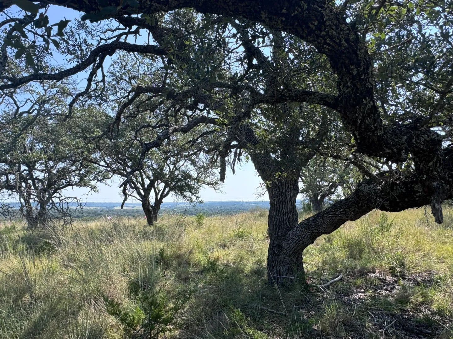 Rolling Oaks Lot 74 - Texas, 76844