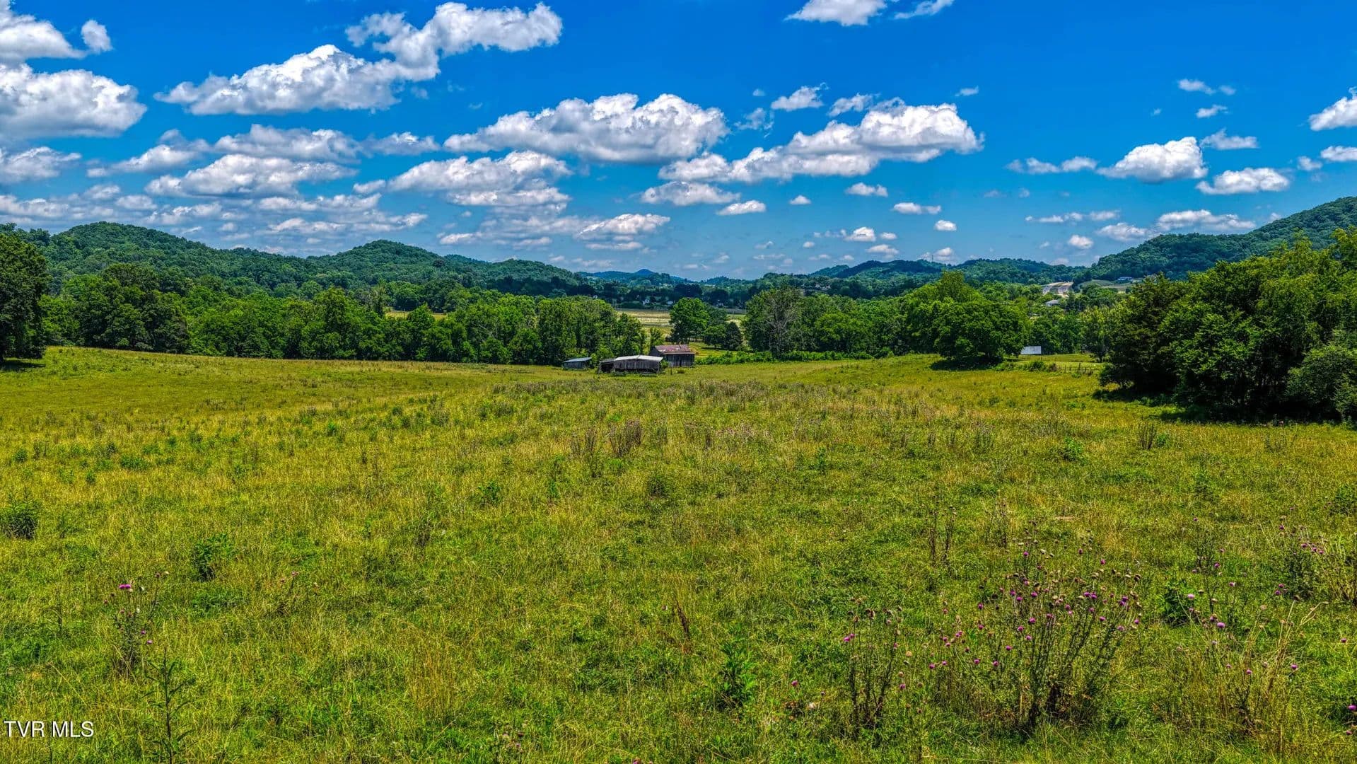 94.9 Acres of Land for Sale in Rogersville, TN - Rogersville, Tennessee, 37857