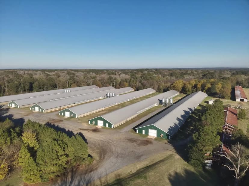 Plainview Broiler Farm – Six House Farm in Sabine Parrish, Louisiana