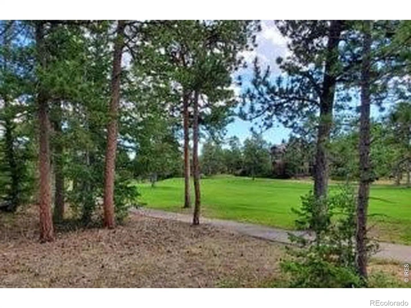 Property from 3031 Lake Arapahoe Court - KW - Red Feather Lakes, Colorado, 80545
