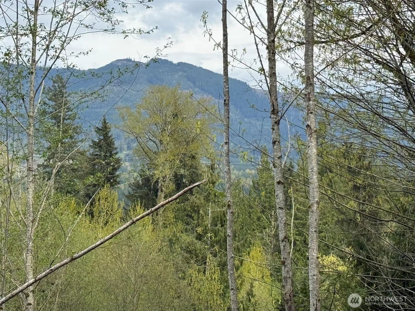 5.03 Acres of Land for Sale in Arlington, WA - Arlington, Washington, 98223