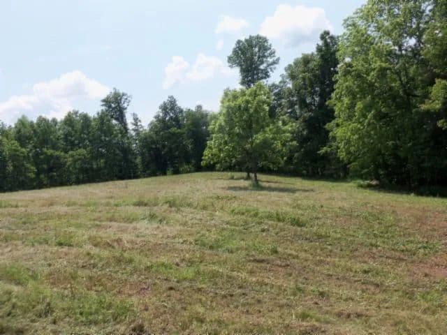 5.73 AC W/ A NATURAL SPRING, LEVEL TO A ROLL, BUILDING SITE, MTN VIEWS, 1200’ OF RD FRONTAGE - Gainesboro, Tennessee, 38562