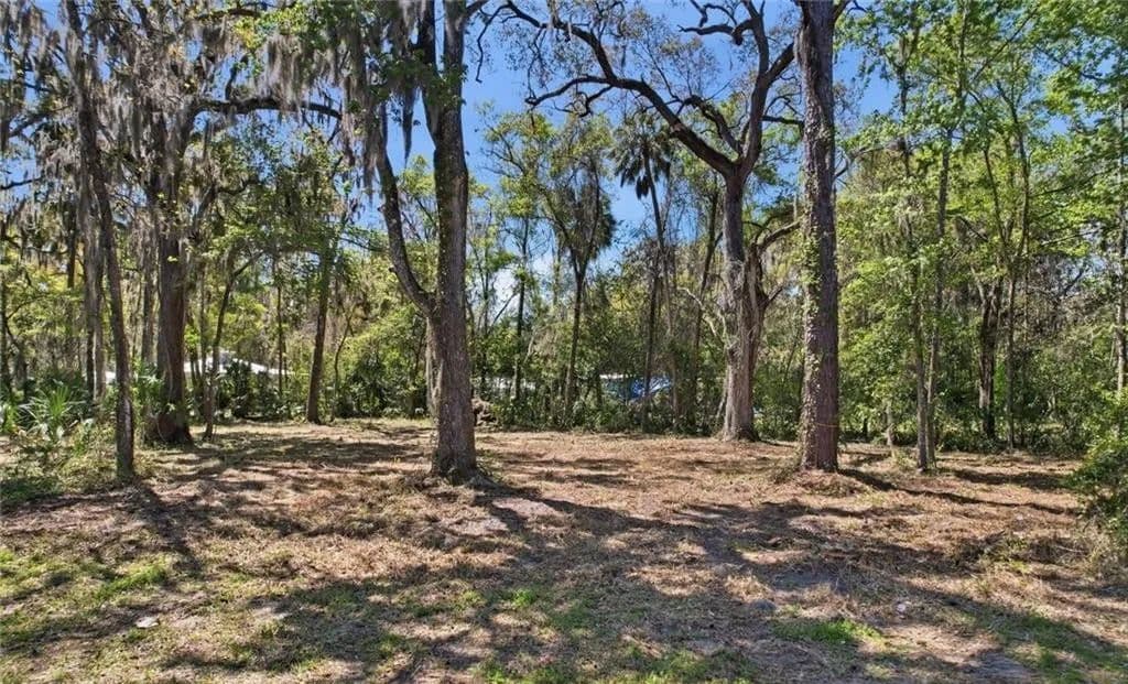 Land -Single Family Acreage in Crystal River - Crystal River, Florida, 34428