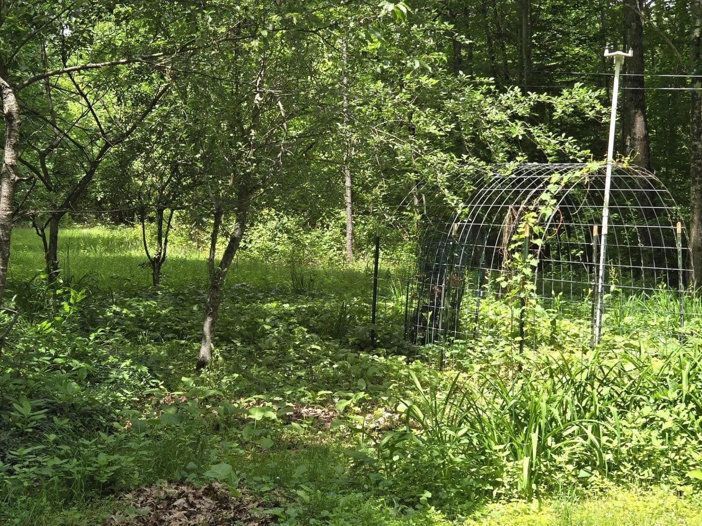 Vacant Land in Hill - Hill, New Hampshire, 03243