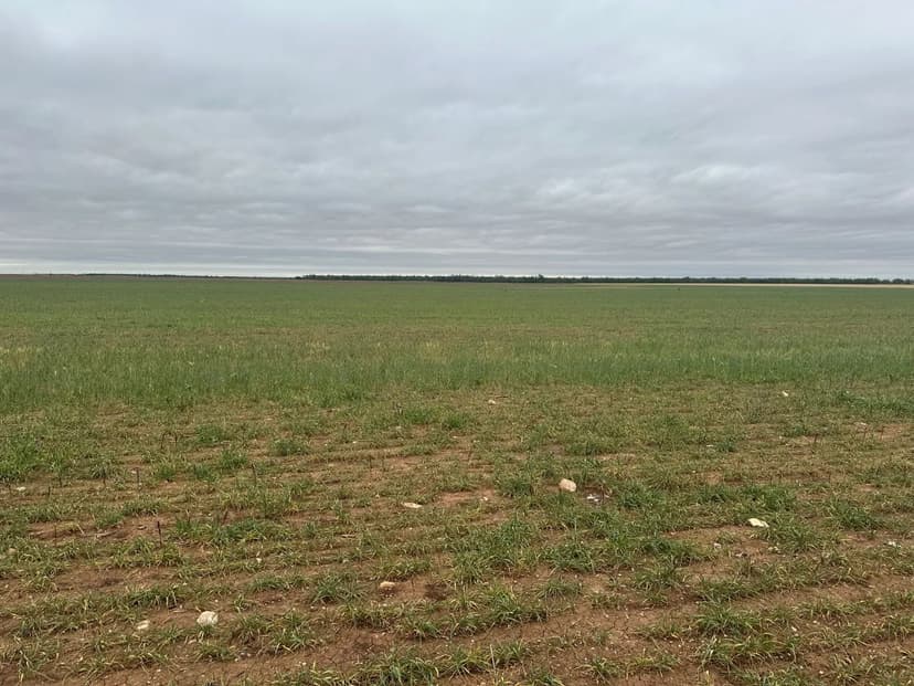 NEW LISTING!! 14 +/- Ac TBD FM 126 (TR 2), JONES COUNTY