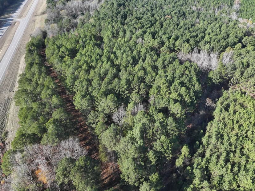 6.14 Acres in Pickens County, AL