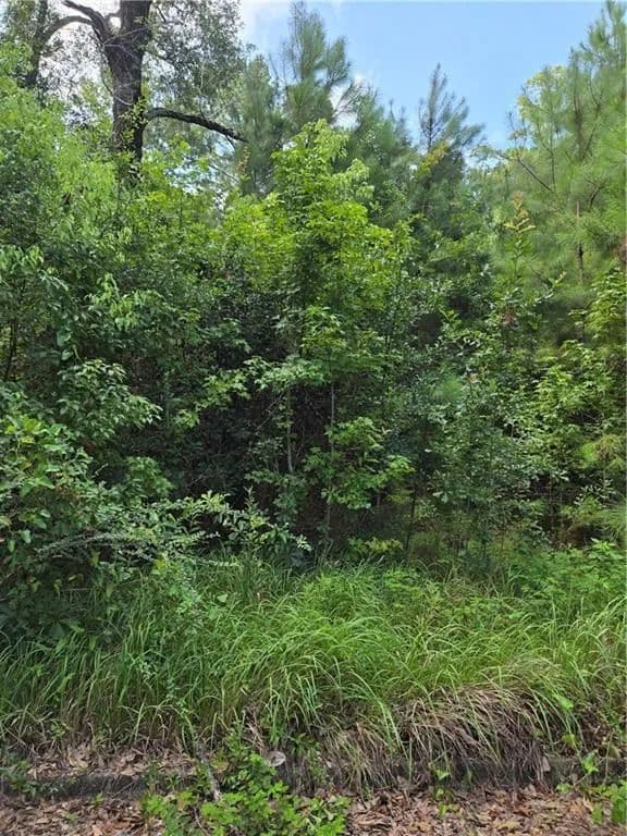 Vacant Land in Mobile - Mobile, Alabama, 36605