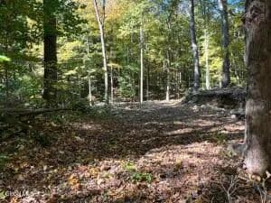 Land -Single Family Acreage in Lake George - Lake George, New York, 12845