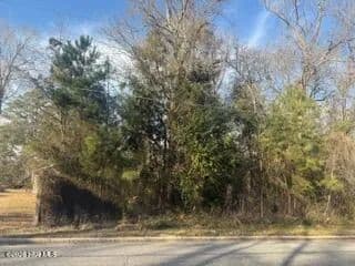 Vacant Land in Whiteville - Whiteville, North Carolina, 28472
