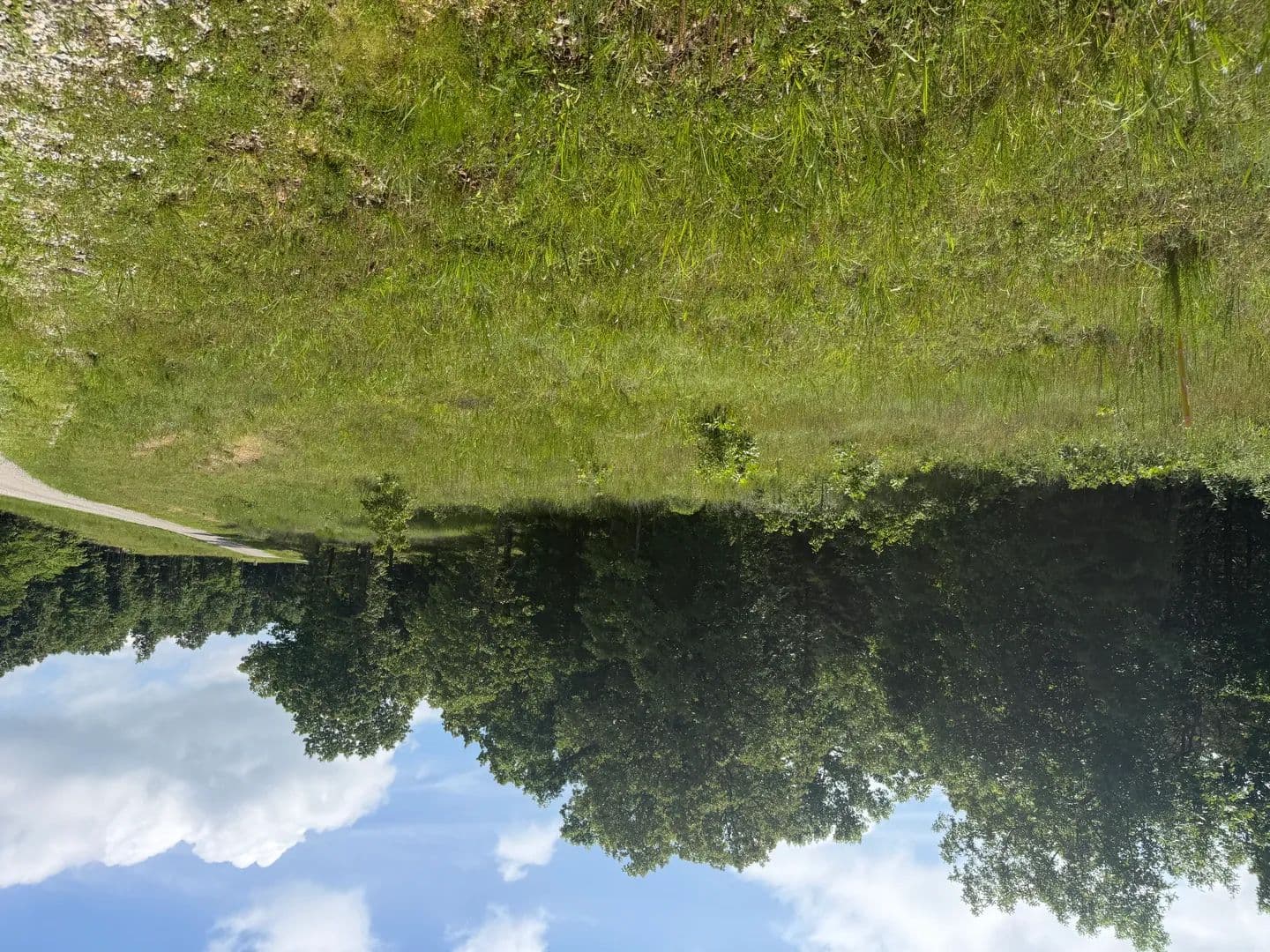 Land -Agricultural (Not Zoned) in Clarkridge - Clarkridge, Arkansas, 72623